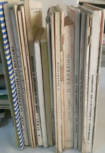 Lotto libri libretti - libri,