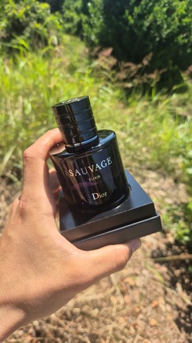 Dior sauvage elixir - dior,