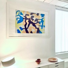 Carla Accardi serigrafi