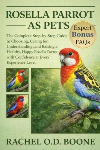 Rosella parrot pets the - pets:,