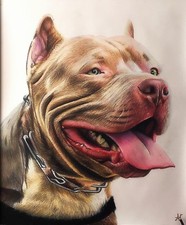Ritratto ritratto di PIT BULL (cane) - Matite colorate cm. 60 x 70