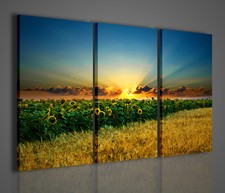 QUADRI MODERNI BEATIFUL SUNFLOWERS QUADRO MODERNO GIRASOLI PAESAGGI ARREDAMENTO 