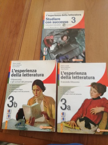 Esperienza della letteratura - l'esperienza,