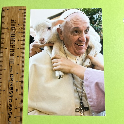 Volto della misericordio - volto,