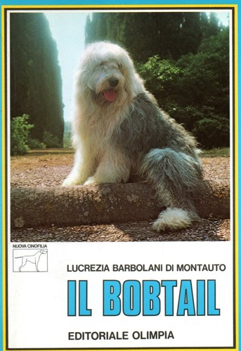 Bobtail animali cani - animali,