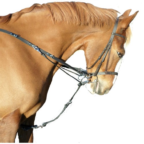 Redini bilanciamento stile - di,