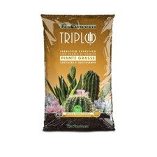 Terriccio Professionale Piante Grasse Tercomposti Triplo 10 L con Sabbia Pomice
