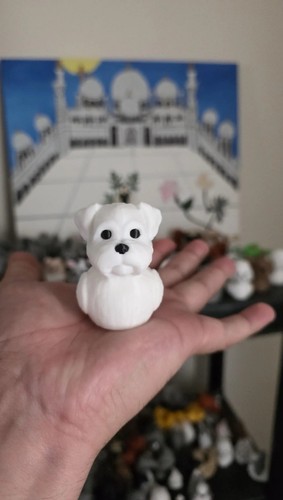 Maltese dog duck - maltese,