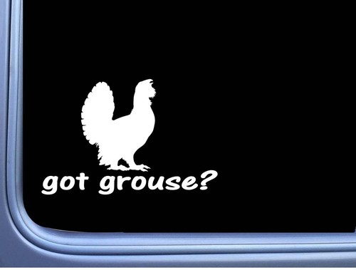 Got grouse l780 pollici - got,
