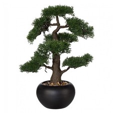 Bonsai "Cedar" Pianta Finta 48