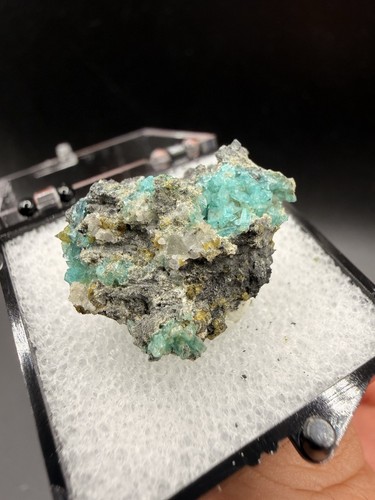 Rara borcarite con probabile - borcarite,