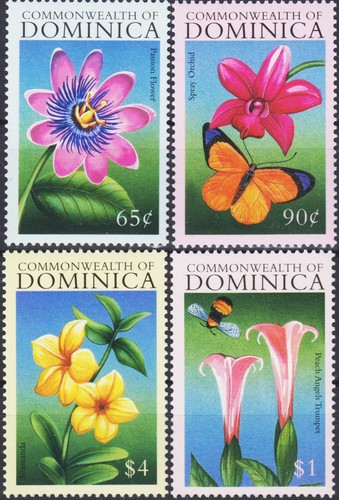 Dominica 2000 fiori passione - dominica,