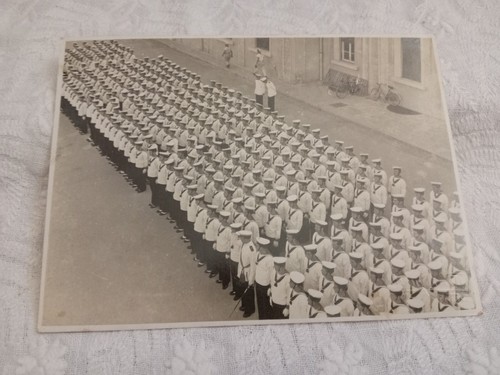 Fotografie bianco nero - bianco,