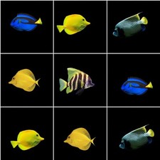 ADESIVI PIASTRELLE BAGNO