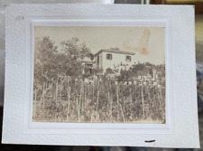 Foto d'epoca 900's Casolare Apicoltura Alveari Alveare Filari Vite Uomini Donne