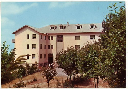 Cucullaro gambarie - -,