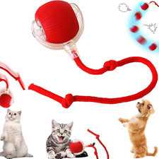 Giochi Interattivo per Gatti