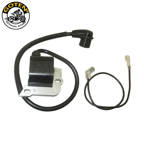 Bobina modulo accensione - , goten