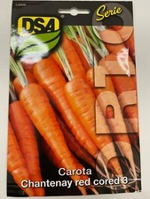 SEMI SEMENTI CAROTA CHANTENAY RED CORED 500 GRAMMI