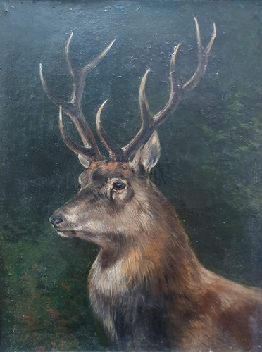 Ritratto cervo dipinto - di, un