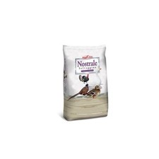 Mangime Raggio Di Sole