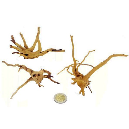 Decorline nano spider wood - spider,