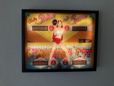 Vetro posteriore flipper