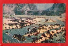 TOMMASO CASCELLA - CROCE ROSSA