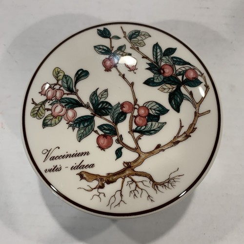 Villeroy boch botanica - &,