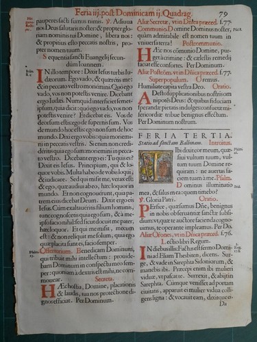 Pagina messale cattolico - pagina,