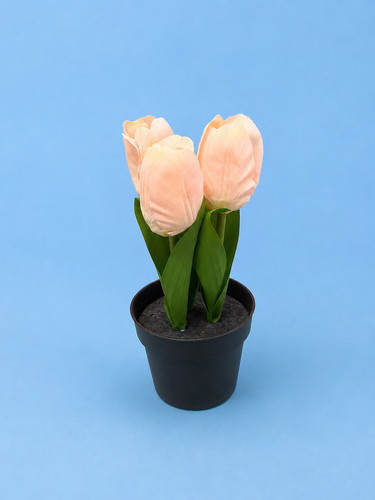 Ikea fejka pianta - pianta, artificiale