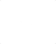 Gori Bolzen für 2-flg. 15' u. 16,5' Wellenanlage 8800001150