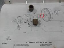BOCCOLA IN OTTONE TRA ALBERO E