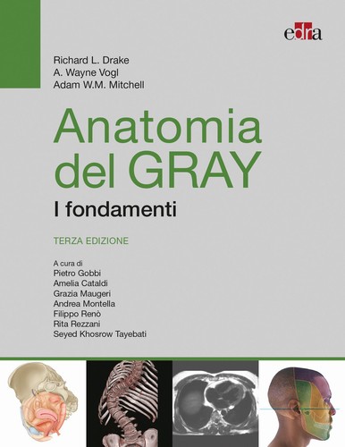 Anatomia del gray - anatomia, i