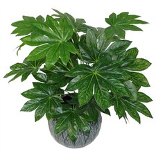 Pianta artificiale Aralia 60