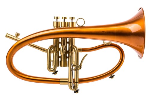 Taylor kgumusic custom - taylor,