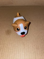 Cuccioli paffuti cucciolo Jack