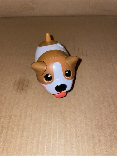Cuccioli paffuti cucciolo jack - cucciolo,
