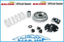 Variatore malossi multivar - malossi,