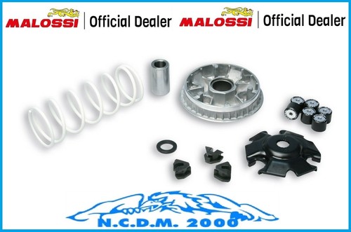 Variatore malossi multivar - variatore,