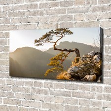 Quadro su tela stampa