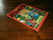 SALGARI LETTERATURA ILLUSTRATA