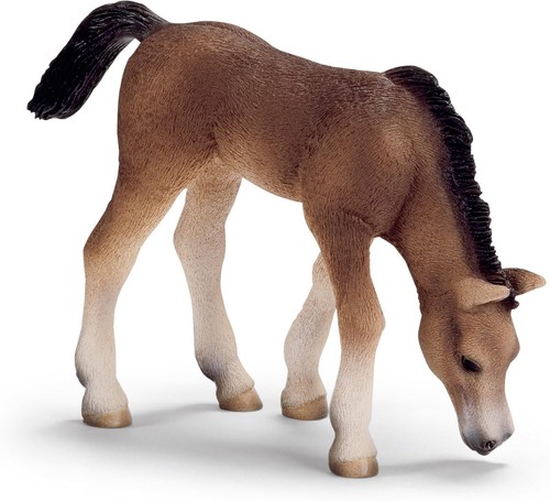 Schleich 13652 puledro arabo