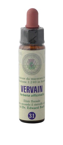 Vervain princeps fiori - nr.,