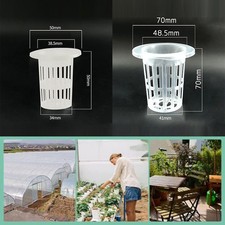 50 pezzi rete nera per