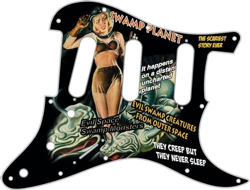 Stratocaster pickguard custom - pickguard,