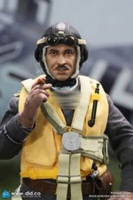 DID D80165 German Luftwaffe