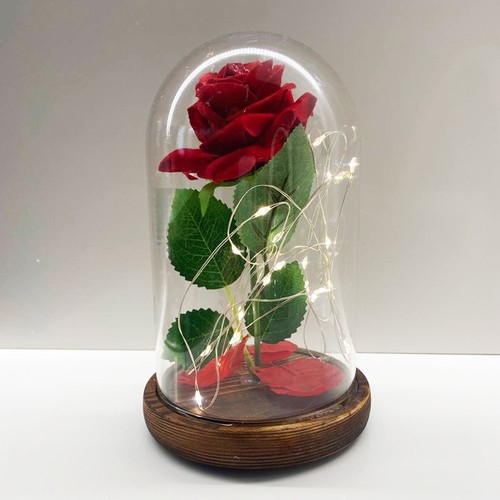 Rosa eterna incantata bella - eterna,