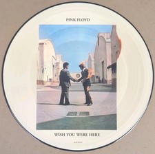 Raro disco fotografico PINK