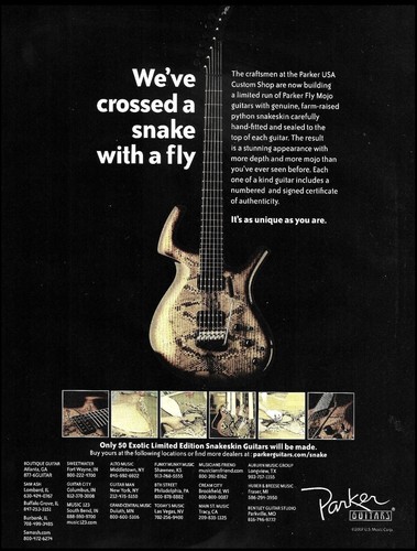 Pubblicità chitarra parker - pubblicità,